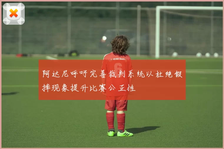 阿达尼呼吁完善裁判系统以杜绝假摔现象提升比赛公正性